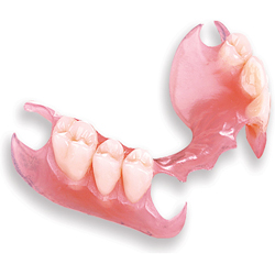 Classic Dentures model